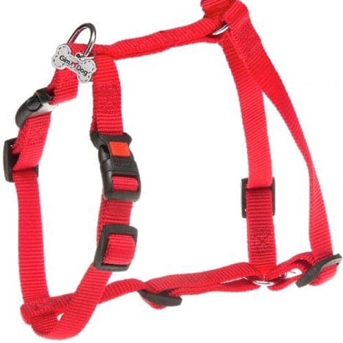 جيم دوق صدرية كلاب لون أحمر 2.5×110×25 س - متجر اليف