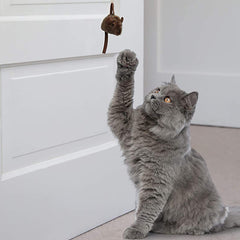 اوربتس لعبه تفاعليه للقطط, فأر يعلق على الباب - متجر اليف