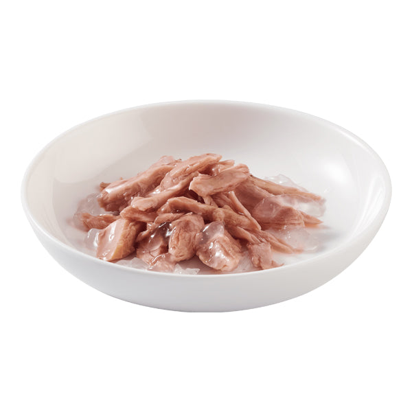 شيزر تونة في جيلي طعام رطب للقطط البالغة ، 85 جرام - متجر اليف