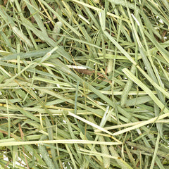 زولكس نيوتريميل ميداو هاي عشب طبيعي للحيوانات الصغيرة, 2.5 كجم - متجر اليف